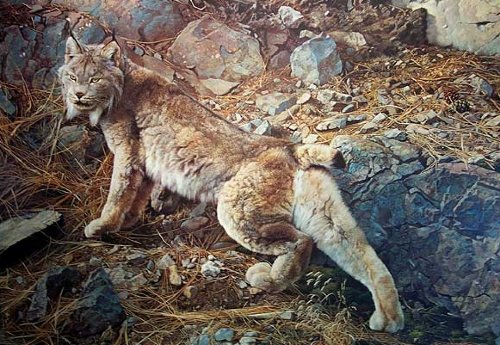 Reproductions of Carl Brenders Paintings In Northern Hunting Gro Reproductions of Carl Brenders Paintings In Northern Hunting Gro
